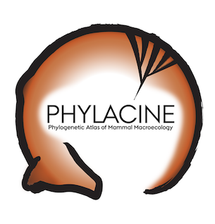 PHYLACINE